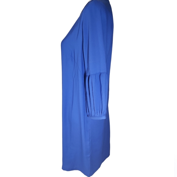 Ann Taylor Loft Royal Blue Dress. 8P - Picture 3 of 16